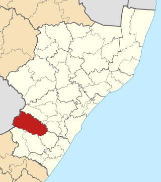 <span class="mw-page-title-main">Dr Nkosazana Dlamini-Zuma Local Municipality</span> Local municipality in KwaZulu-Natal, South Africa