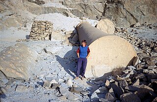 <span class="mw-page-title-main">Marijke van der Veen</span> Dutch archaeobotanist