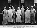 Maryborough outbreak of Primary Pneumonic Plague (May-June, 1905) (29245749482).jpg
