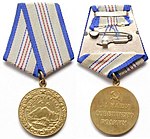 Medal kaukaz USSR.jpg