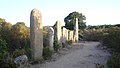 Alignement van menhirs in Pagliajo