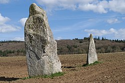 Havainnollinen kuva artikkelista Les Jumeaux (menhirs)