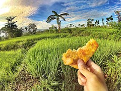 Menikmati makanan khas indonesia.jpg