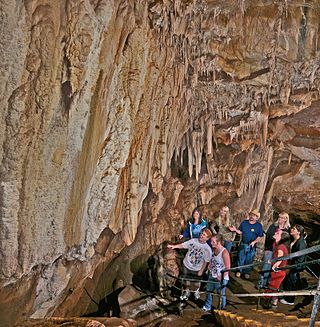 <span class="mw-page-title-main">Mercer Caverns</span> Cave in United States of America