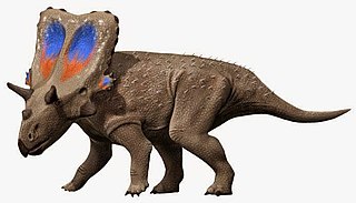 <i>Mercuriceratops</i> Extinct genus of dinosaurs