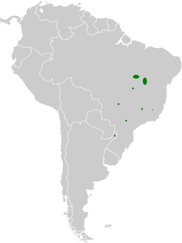 Braziliaanse zaagbek