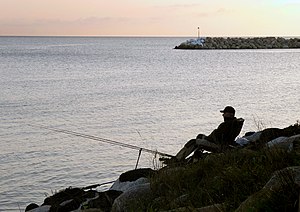 Recreational fishing at sunset Mete (fiske) - Ystad-2018.jpg