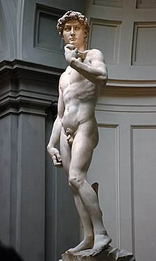 Michelangelo David: Sculptuur van Michelangelo