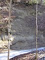 Molasse constitutive du sol de la région du Gros-de-Vaud. Ici dans la forêt Plan Bois, près de Fey.