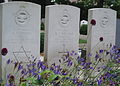 Oorlogsgraven op de Algemene Begraafplaats Montfoort