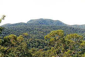 Mount BandaBanda2001-Mart-23.jpg