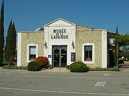 Musée lavande.JPG