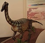 Reconstituição artística de um Unaissauro (Unaysaurus tolentinoi).