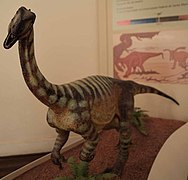 Reconstitució artística d'un unaysaure (Unaysaurus tolentinoi)