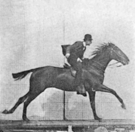 ไฟล์:Muybridge horse gallop animated 2.gif