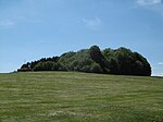 Naturschutzgebiet Feldgehölz westlich von Stockum