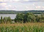 Oberuckersee bei Warnitz