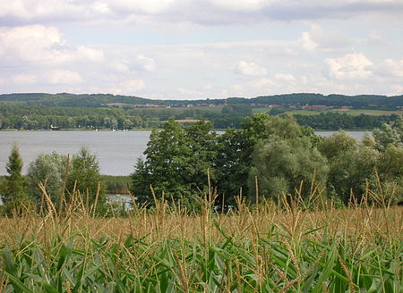 Oberuckersee2Warnitz