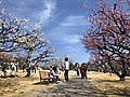 岡崎市南公園の梅林(210307)