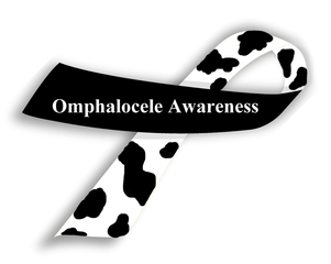 Cow Print Ribbon Omphalocele Awareness Stock Vector (Royalty Free)  336213803