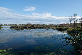 Водно-болотные угодья Трэвис, 20 апреля 2014 года