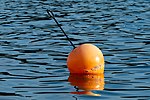 Thumbnail for File:Orange buoy in water.jpg