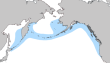 A map of the Northern Pacific showing the range of Resident orcas.