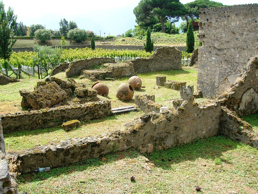 Orto dei Fuggiaschi 17