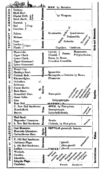 Richard Owen's 1861 geological timescale from Palæontology, showing the appearance of major animal types[52]