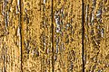 * Nomination Painted wood at the former beehive cabin on Quellweg in Winklern, Pörtschach, Carinthia, Austria -- Johann Jaritz 03:47, 16 December 2021 (UTC) * Promotion  Support Good quality. --XRay 04:34, 16 December 2021 (UTC)