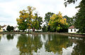 Čeština: Východní rybník v Příbrazi English: East pond in Příbraz, Czech Republic