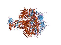 PDB 1e79 EBI.jpg