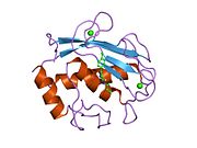 PDB 1jh1 EBI.jpg