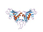 1ypu: Human Oxidized Low Density Lipoprotein Receptor LOX-1 C2 Space Group
