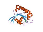 2al7: Cấu trúc của protein giống yếu tố ribosyl hóa ADP 10C ở người