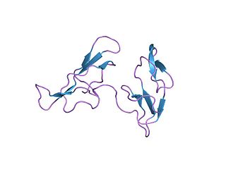 <span class="mw-page-title-main">Bowman–Birk protease inhibitor</span>