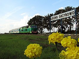 Station Leszno Grzybowo