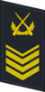PLANF-Collar-0709-1CSGT.png