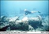 SS Antonio Lopez Shipwreck Site and Remains PRAntonioLopez1.jpg