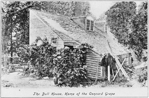 PSM V82 D349 Bull house home of the concord grape.png
