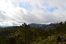 Panoramica realizada en el Parque Natural de la Sierra de Grazalema.jpg