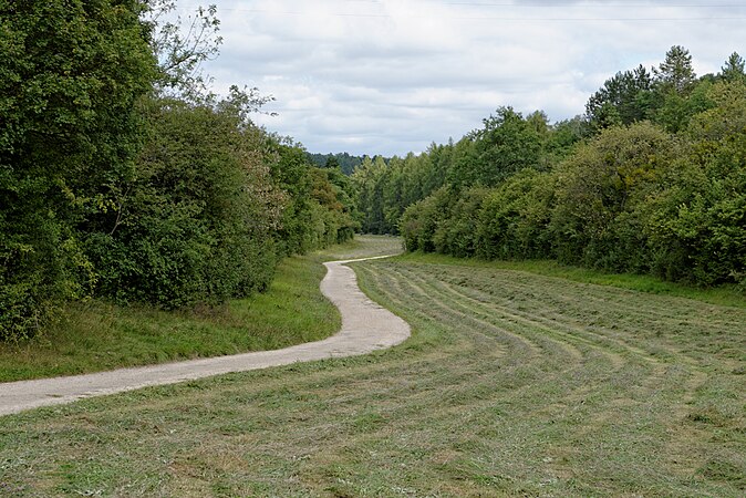 Chemin serpentant au creux de la combe