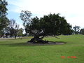 Metropolitano (metropolitan) park located in Zapopan municipality.