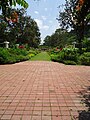 Penang Botanic Gardens- Malaysia