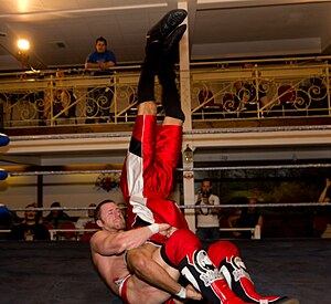 Professional Wrestling Piledriver