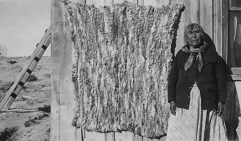 File:Photographs, with captions, of coyote pelts and rabbit skin blanket, from 1937 Carson Agency Annual Extension Report... - NARA - 296152 (crop).jpg