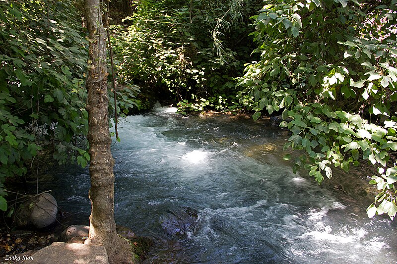 File:PikiWiki Israel 42229 Banias River.jpg