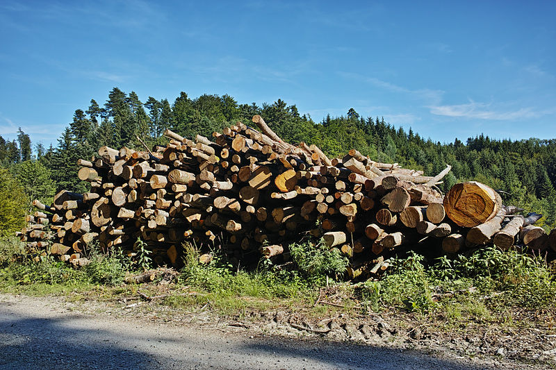 File:Pile of wood Rüti bei Büren.jpg