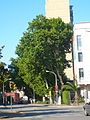 Català: Plàtans de la carretera de Mataró. c. Pere IV / Prim. Sant Martí (Barcelona). ca:Platanus X hispanica. This is a a photo of a protected or outstanding tree in Catalonia, Spain, with id: MA-080193/0008-10-93 Object location 41° 25′ 07″ N, 2° 12′ 33.53″ E  View all coordinates using: OpenStreetMap