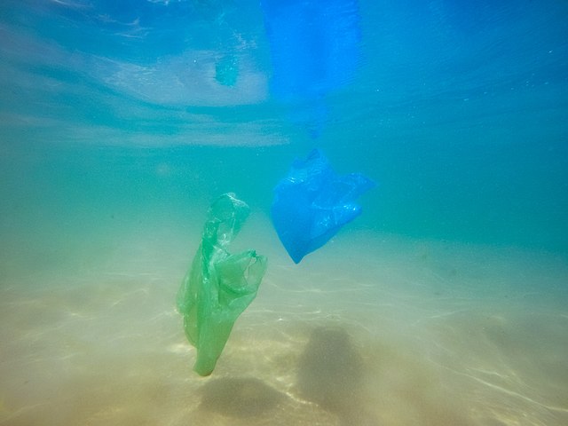 Plastic bags are an example of macrodebris.